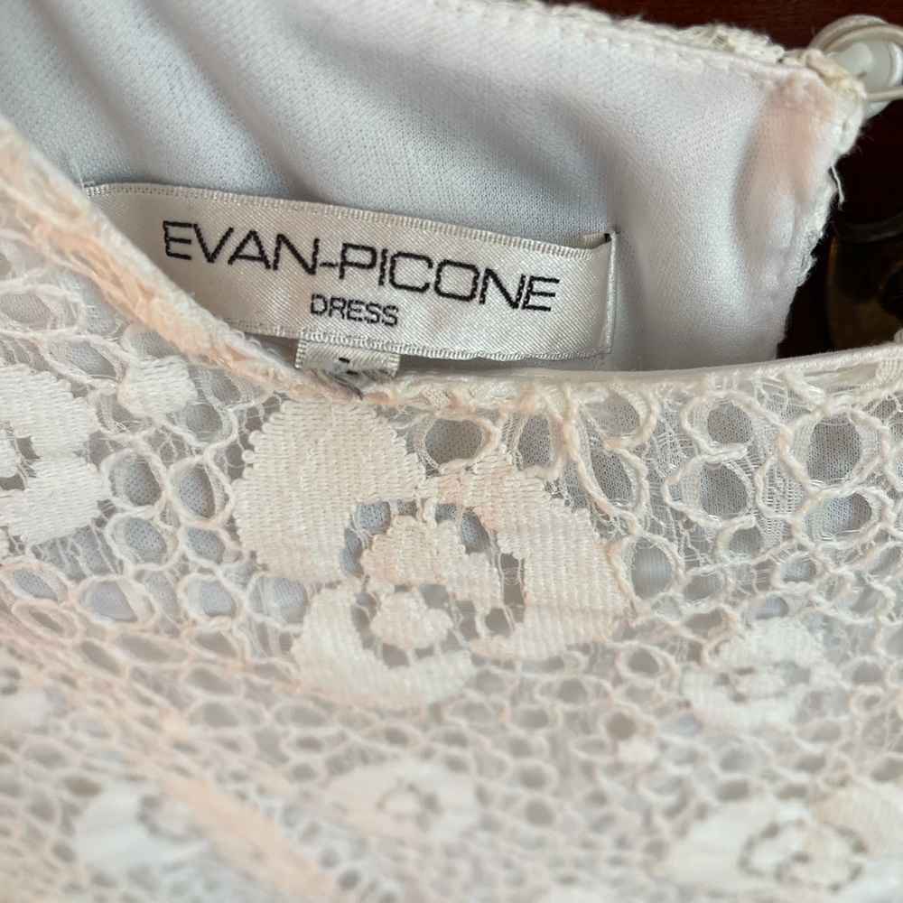 Evan-Picone dress